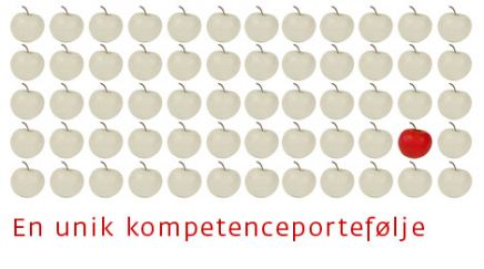 En unik kompetenceportefølje. Æbler. 60. treds. Rødt æble. Hvide æbler. Æbler med stilk.
